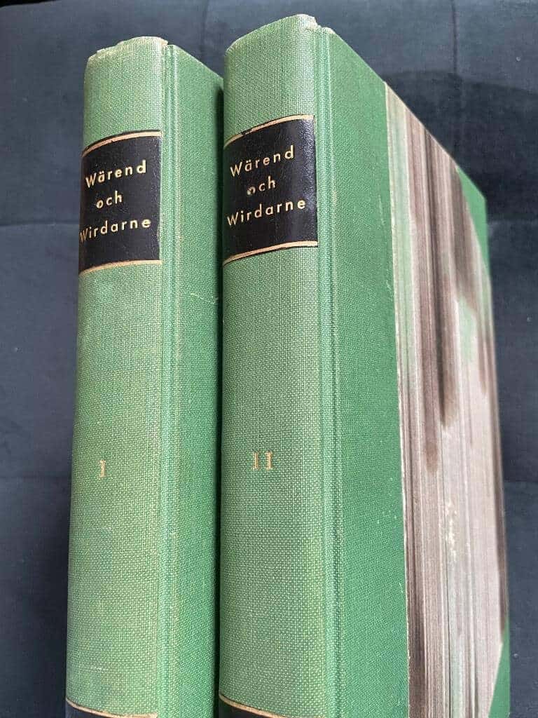 Gunnar Olof Hyltén-Cavallius : Wärend och Wirdarne. Ett försök i svensk ethnologi I-II