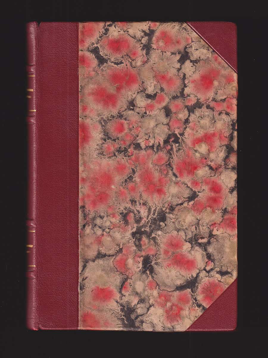 Gustaf-Adolf Nilsson : Birger Sjöberg och Frida. Kamratporträtt