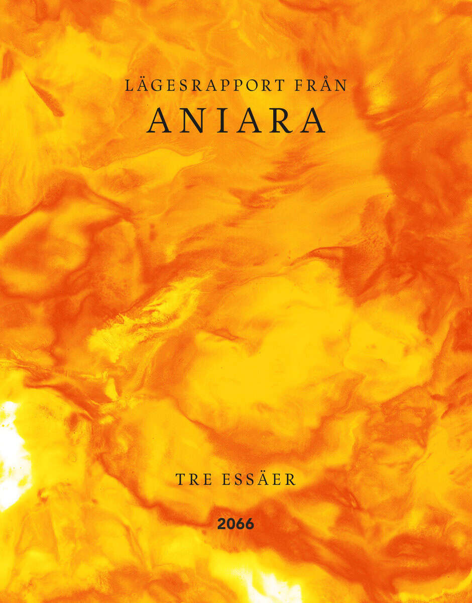 Gustafsson, Bengt ; Hallberg, Anna ; Rose, Kuba : Lägesrapport från Aniara : tre essäer