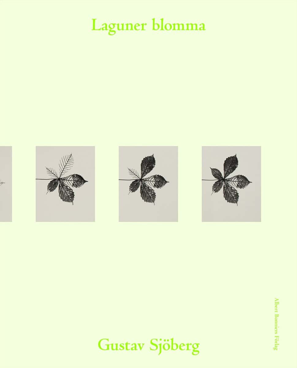 Gustav Sjöberg : Laguner blomma