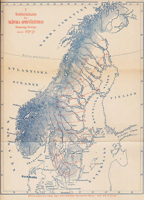 H. Wilh. Arnell : Om vegetationens utveckling i Sverige åren 1873-75