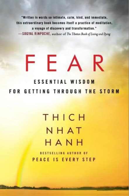 Hahn  Thich Nhat : Fear