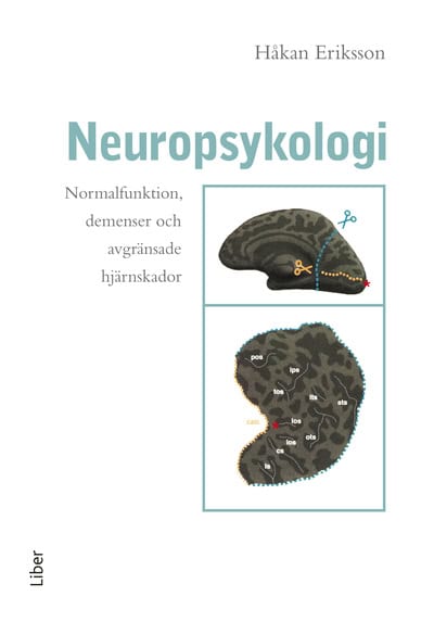 Håkan Eriksson : Neuropsykologi