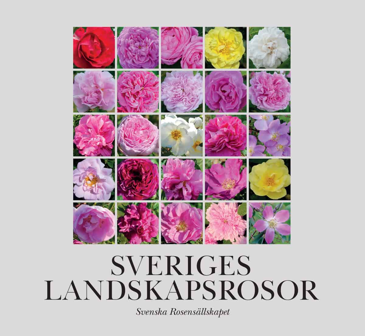 Håkan Kjellin : Sveriges landskapsrosor