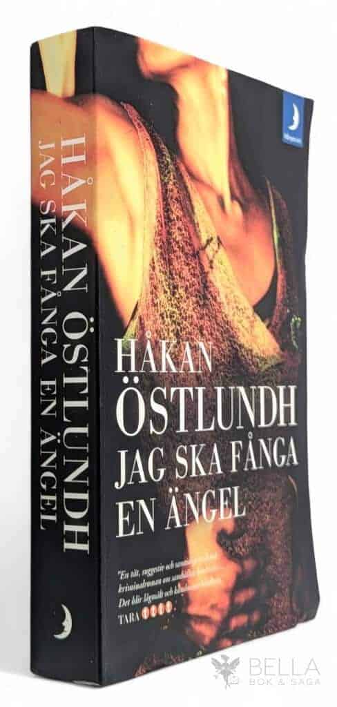 Håkan Östlundh : Jag ska fånga en ängel