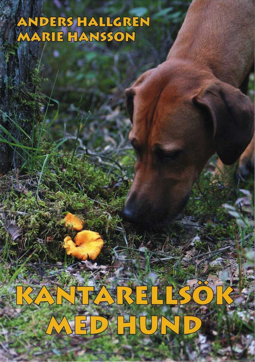 Hallgren, Anders ; Hansson, Marie : Kantarellsök med hund
