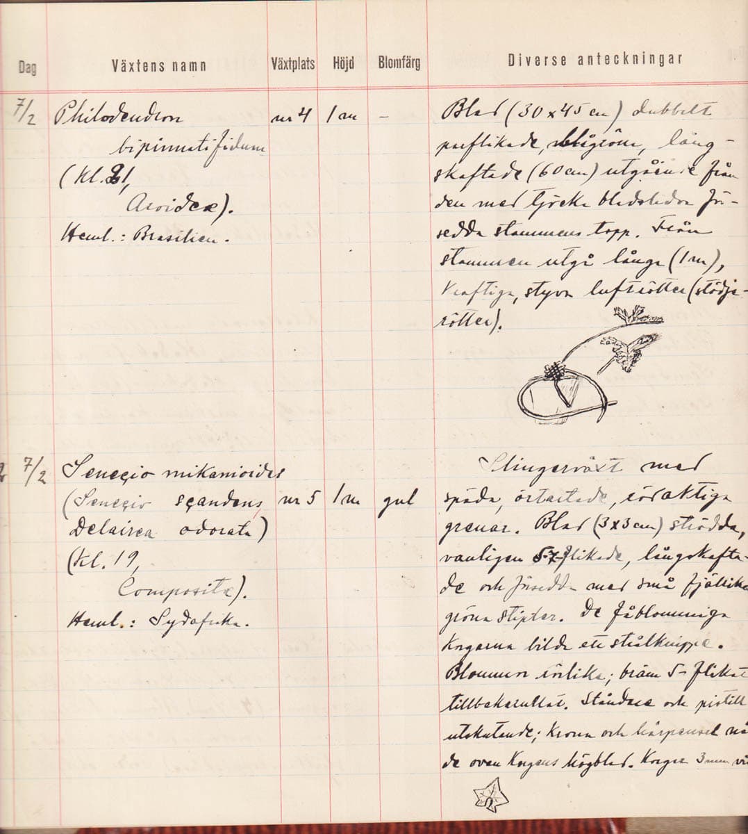 [Handskrift ; Botanik ; 'H. T. Boström 1925-27'] : 702 noteringar mellan 8/11-1925 - 9/10 1927