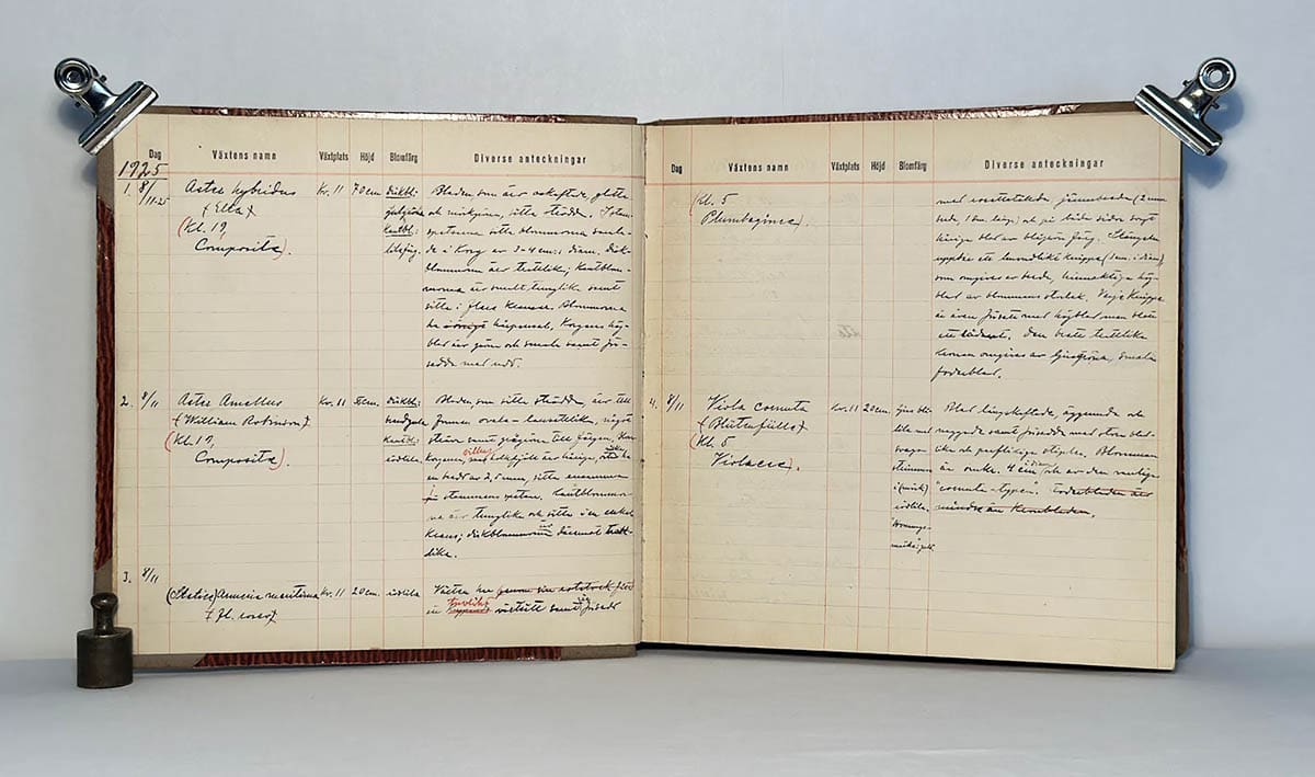 [Handskrift ; Botanik ; 'H. T. Boström 1925-27'] : 702 noteringar mellan 8/11-1925 - 9/10 1927