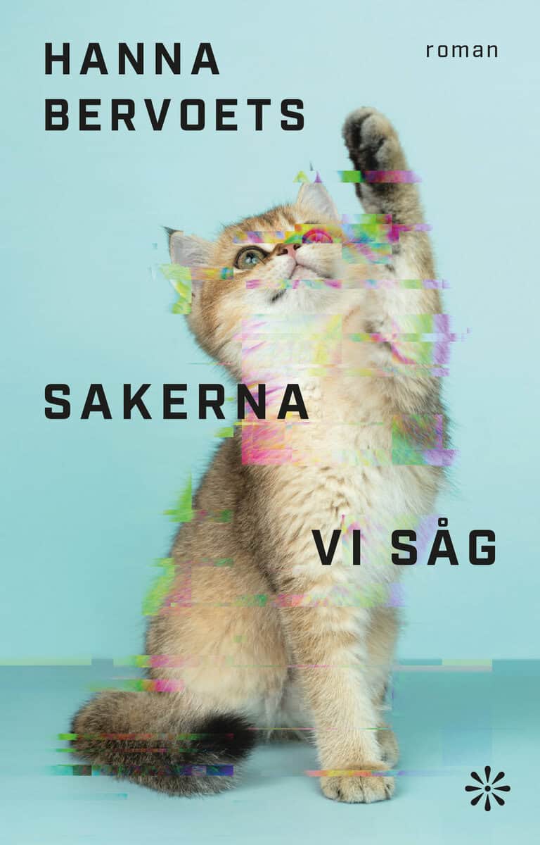 Hanna Bervoets : Sakerna vi såg