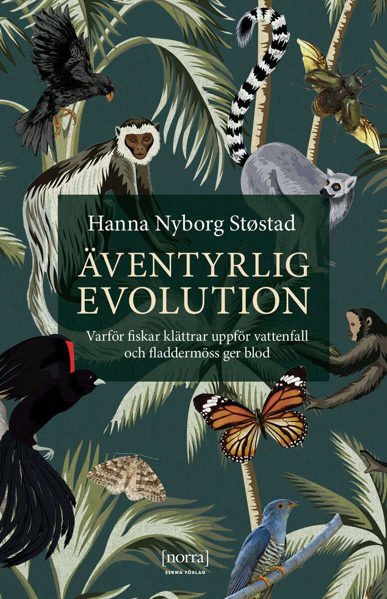Hanna Nyborg Støstad : Äventyrlig evolution : varför fiskar klättrar uppför vattenfall och fladdermöss ger blod