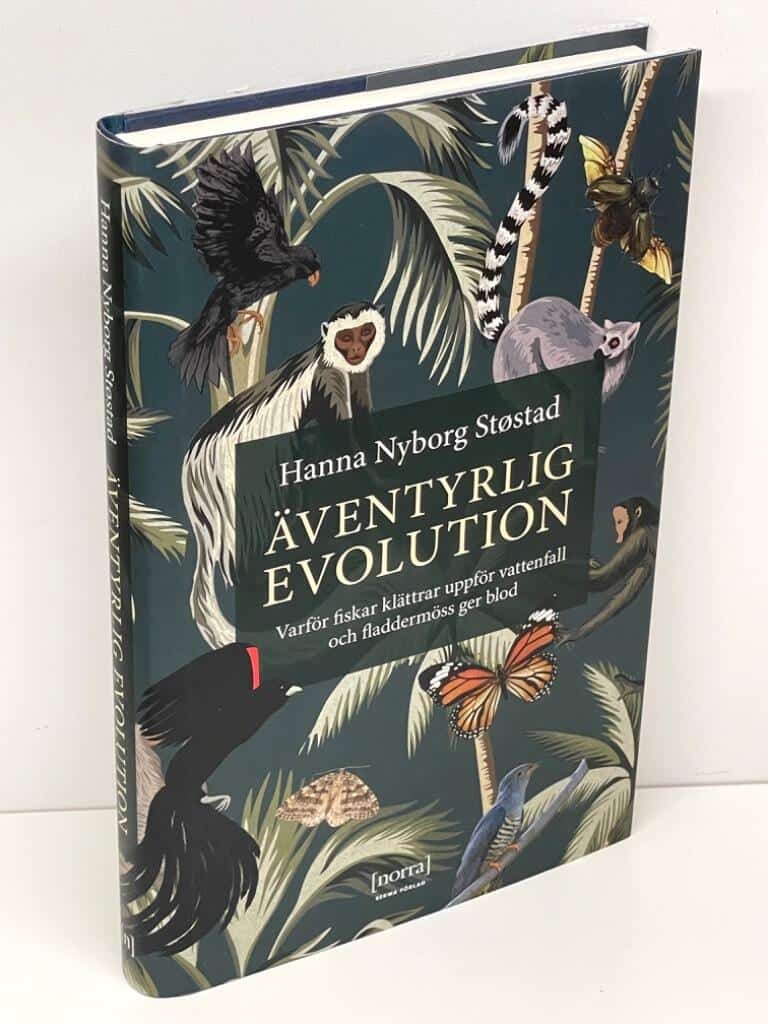 Hanna Nyborg Støstad : Äventyrlig evolution