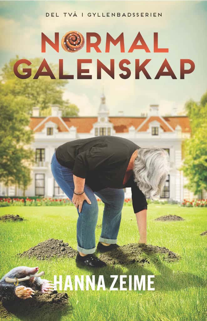 Hanna Zeime : Normal galenskap
