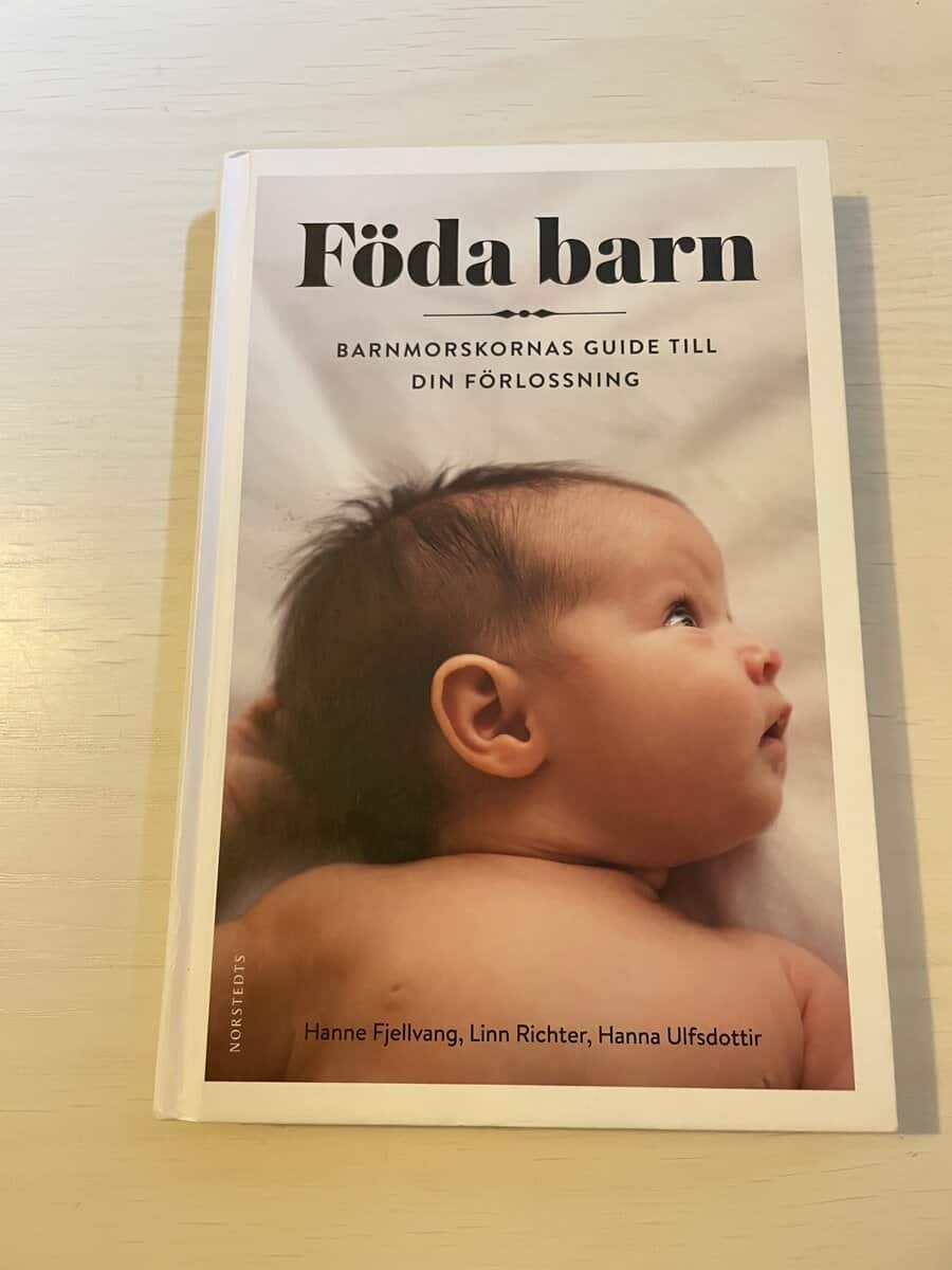 Fjellvang, Hanne, Richter, Linn, Úlfsdóttir, Hanna : Föda barn barnmorskornas guide till din förlossning