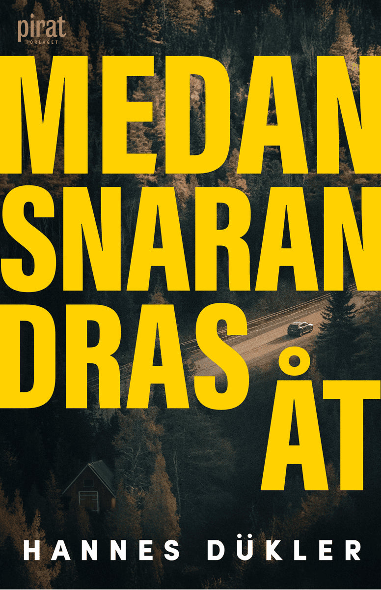 Hannes Dükler : Medan snaran dras åt