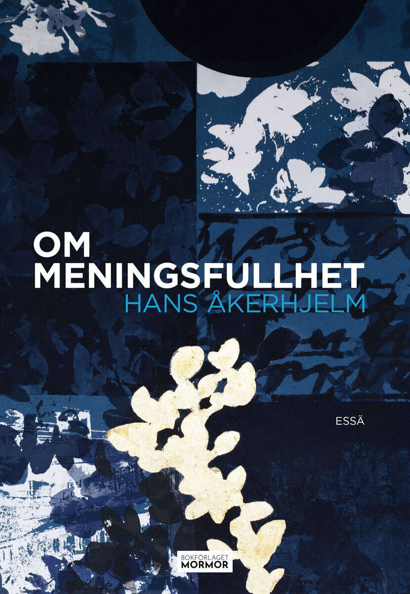 Hans Åkerhjelm : Om meningsfullhet