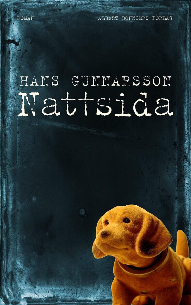 Hans Gunnarsson : Nattsida