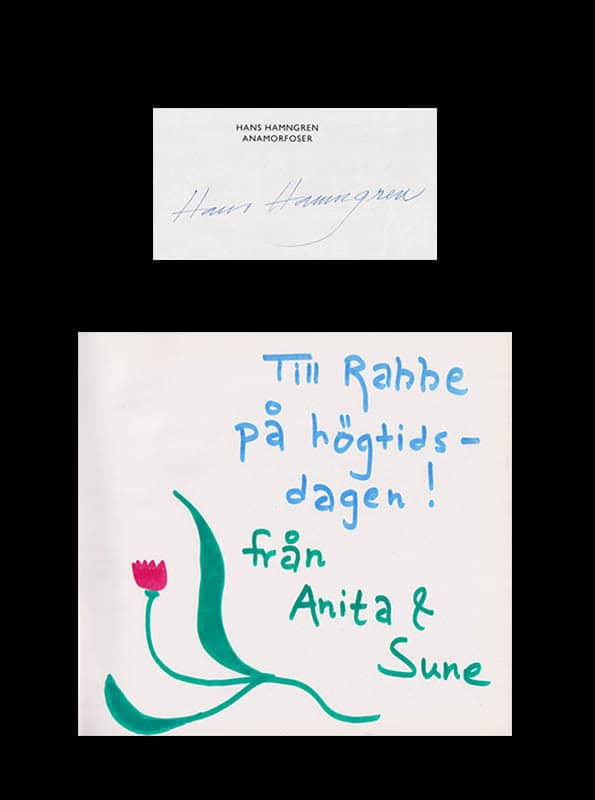 Hans Hamngren : Anamorfoser