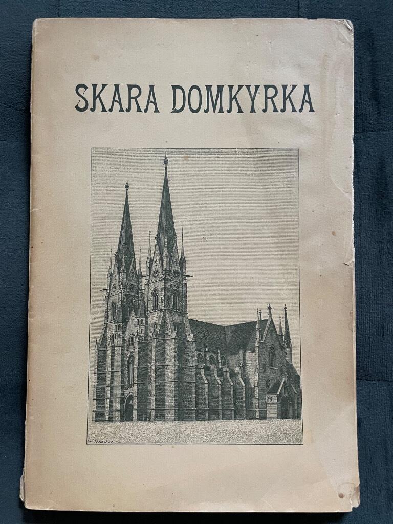 Hans Hildebrand : Skara domkyrka