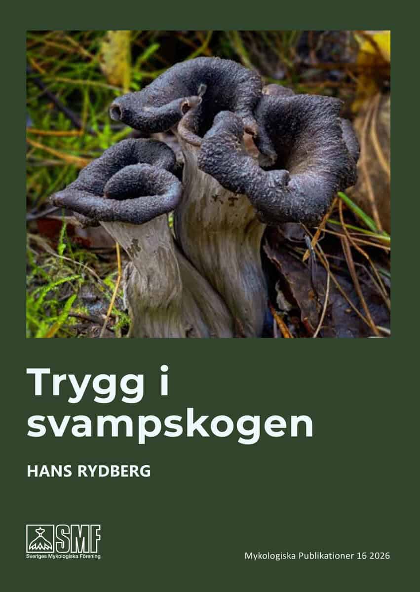 Hans Rydberg : Trygg i svampskogen