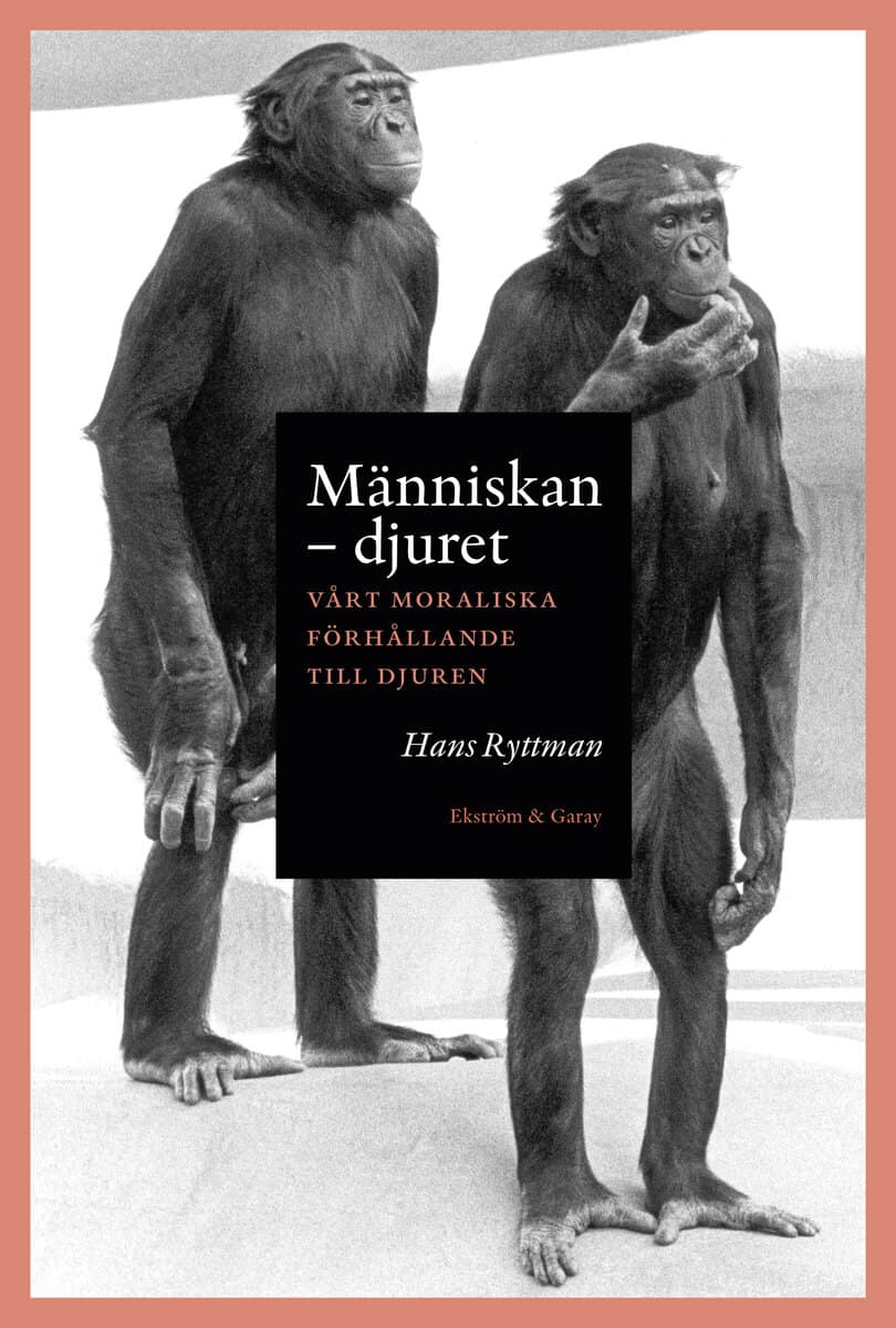 Hans Ryttman : Människan : djuret: vårt moraliska förhållande till djuren
