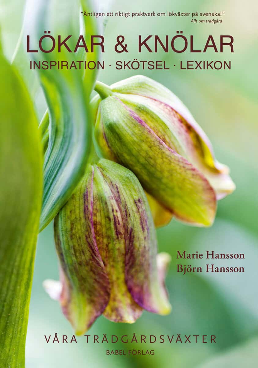 Hansson, Marie ; Hansson, Björn : Lökar & knölar : inspiration, skötsel, lexikon