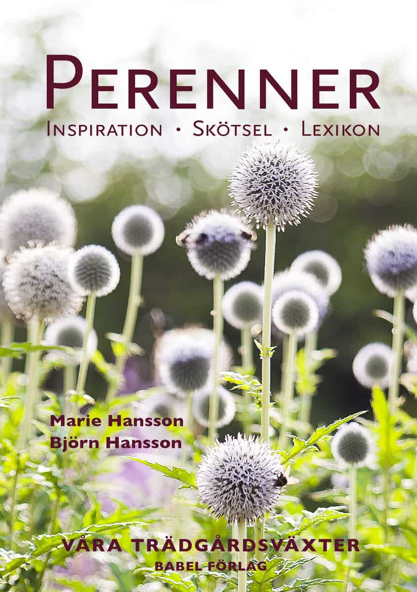 Hansson, Marie ; Hansson, Björn : Perenner : Inspiration - Skötsel - Lexikon