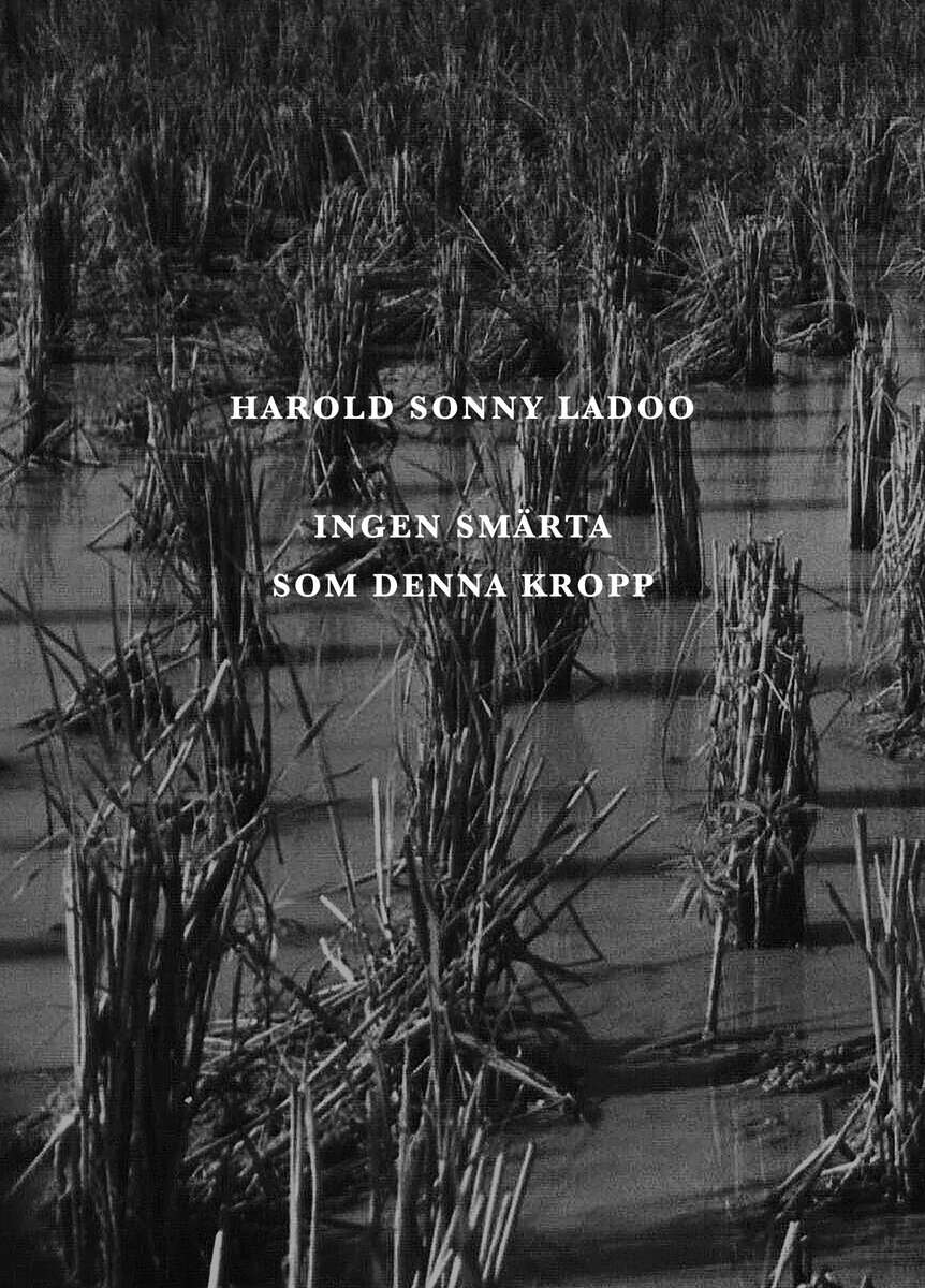 Harold Sonny Ladoo : Ingen smärta som denna kropp