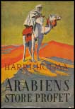 Harri Holma : Arabiens store profet