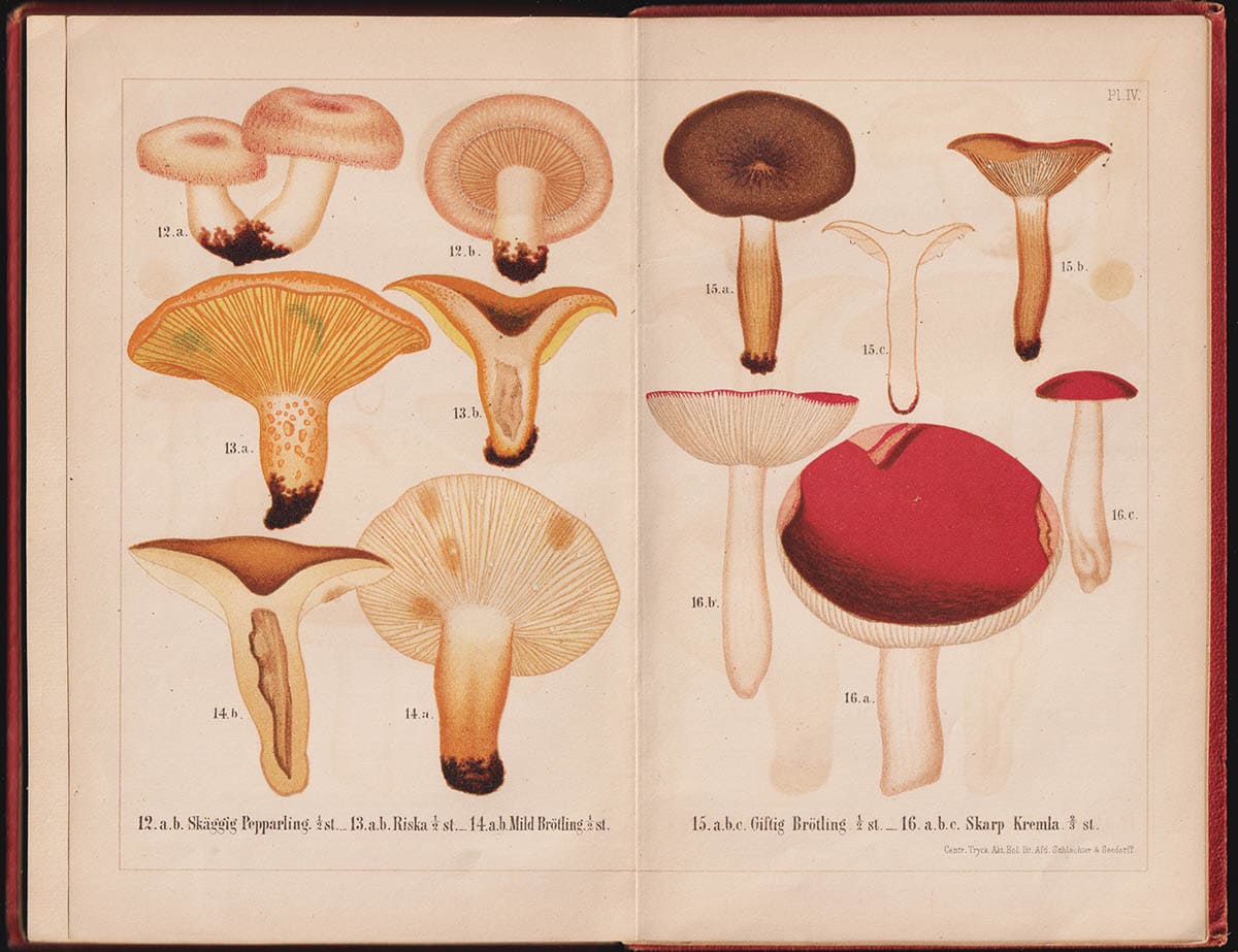 Hartman, C. (Carl, 1824-1884) [utg.] ; Smitt, Johan Wilhelm (1821-1904) : Skandinaviens förnämsta ätliga och giftiga svampar. 82 figurer å 8 planscher i färgtryck. Utgifna af C. Hartman
