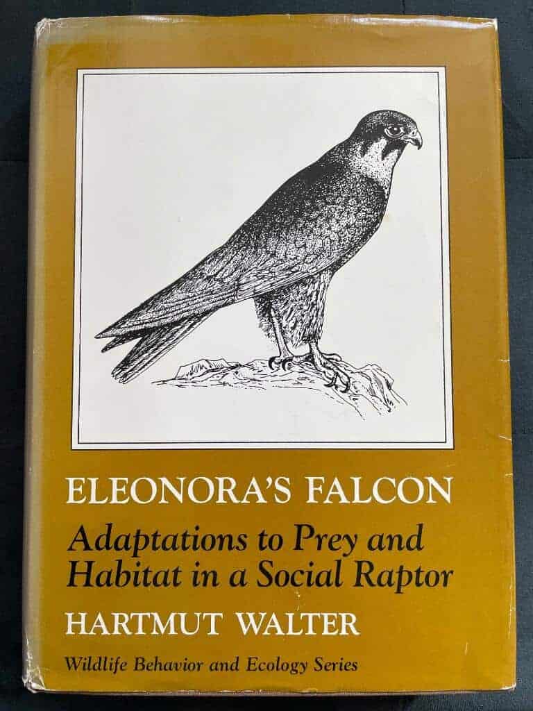 Hartmut Walter : Eleonora's falcon