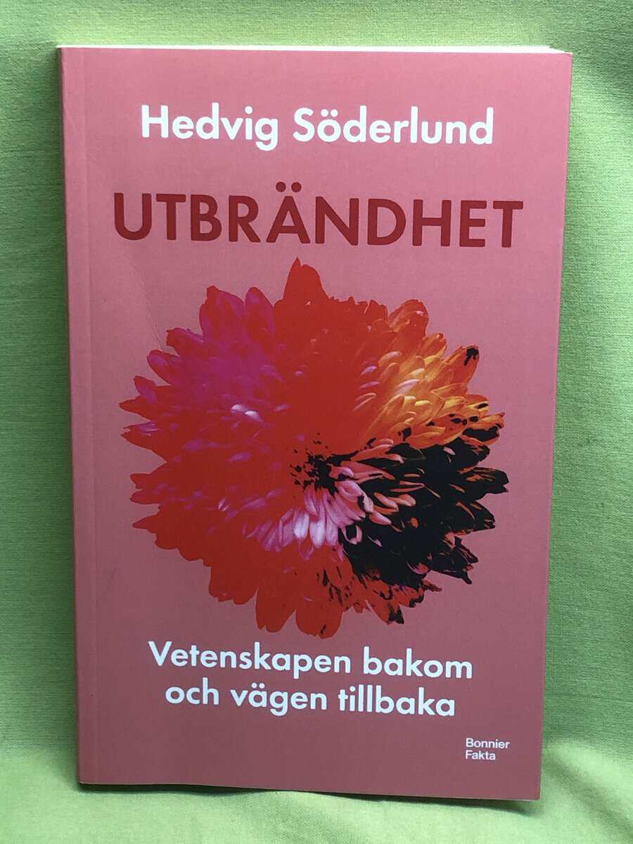 Hedvig Söderlund : Utbrändhet