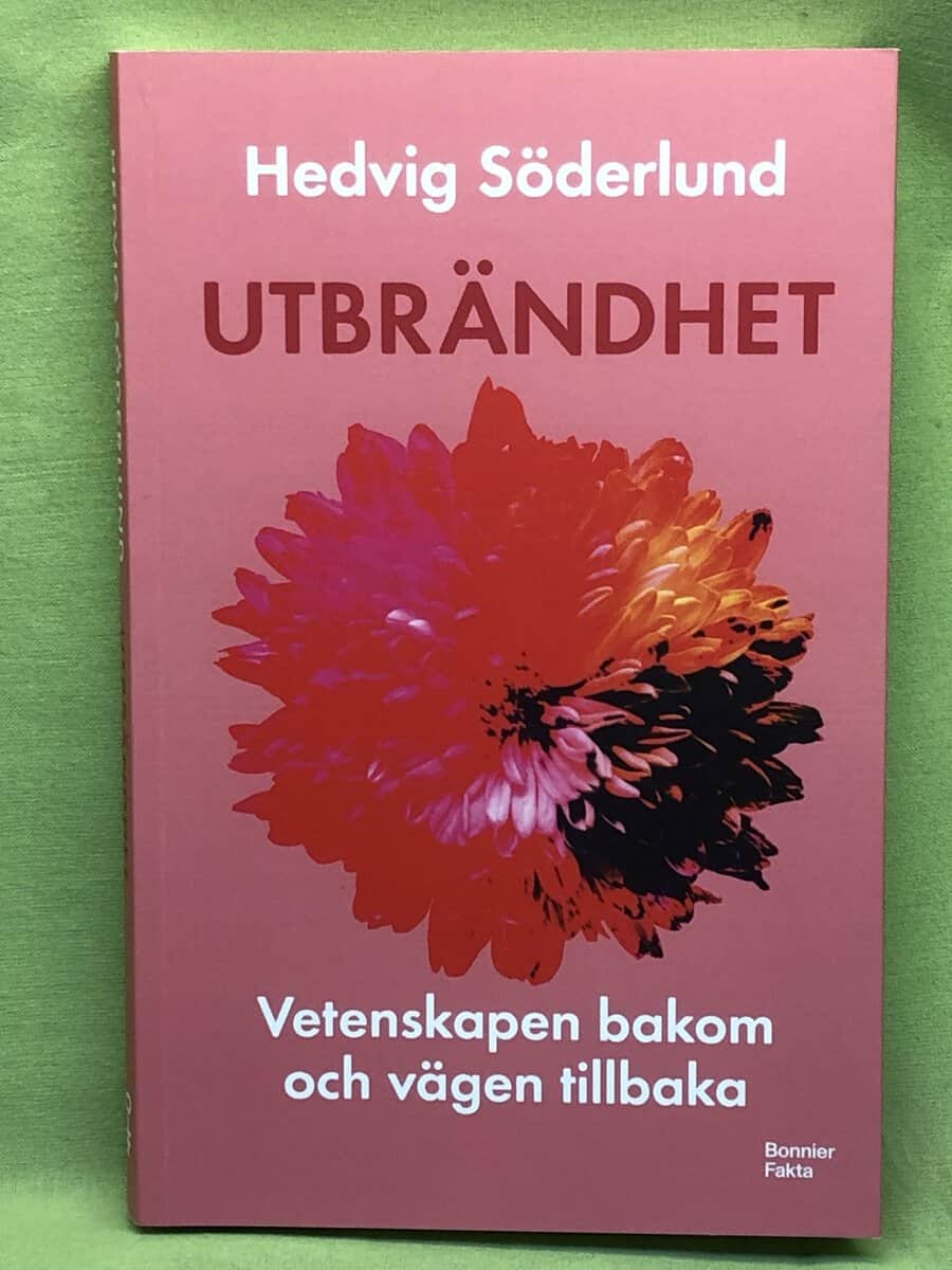Hedvig Söderlund : Utbrändhet