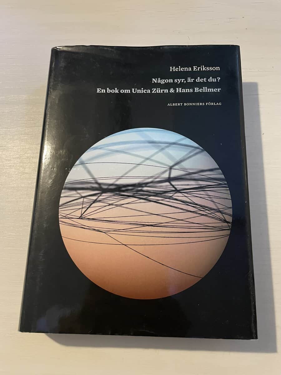 Helena Eriksson : Någon syr, är det du?
