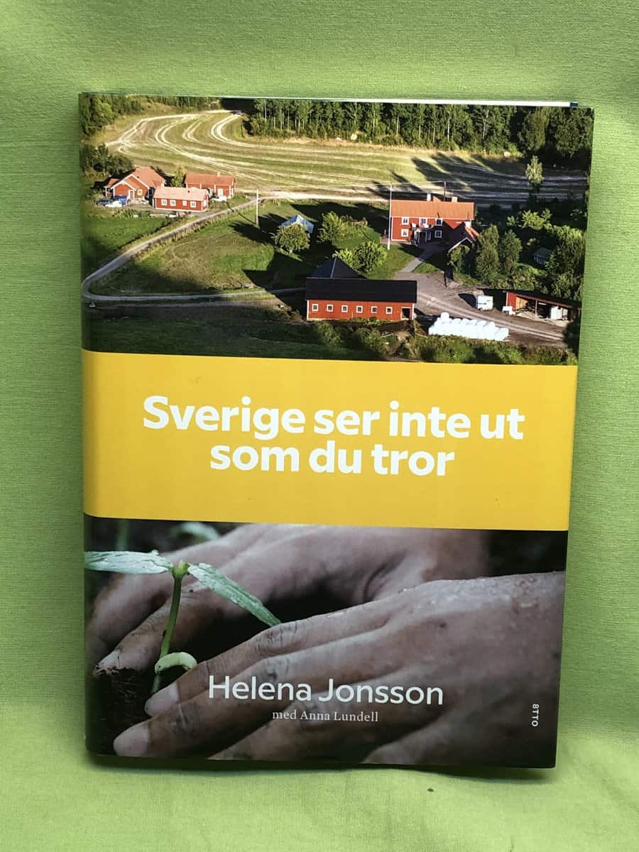 Helena Jonsson : Sverige ser inte ut som du tror