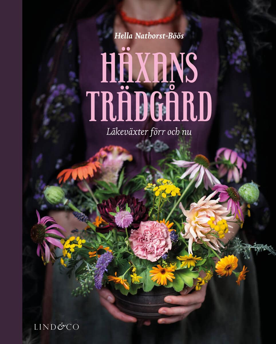 Nathorst-Böös, Hella | HÄXANS TRÄDGÅRD : LÄKEVÄXTER FÖRR OCH NU : läkeväxter förr och nu