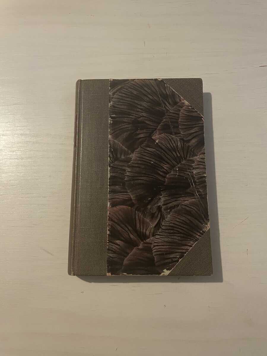 Hellmuth von Mücke : Emden - Ayesha