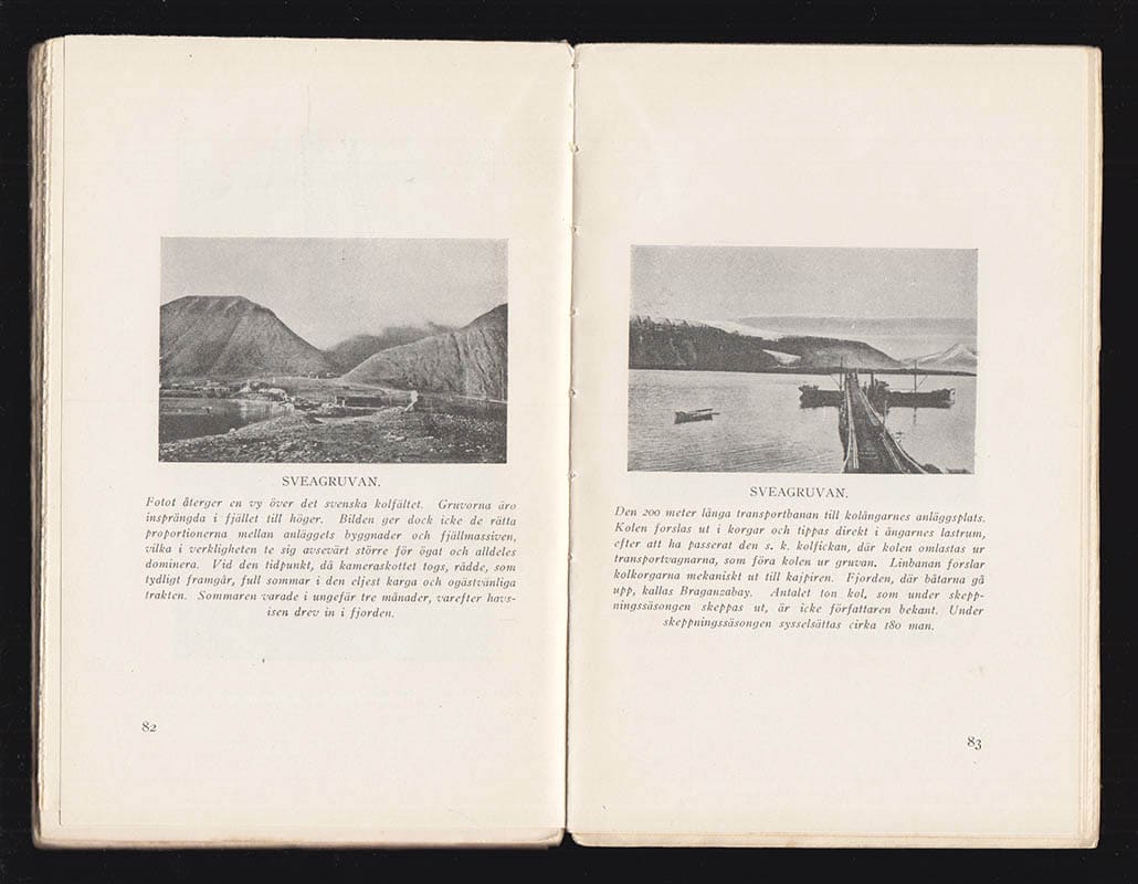 Helmer Johanson : Fem år på Spetsbergen