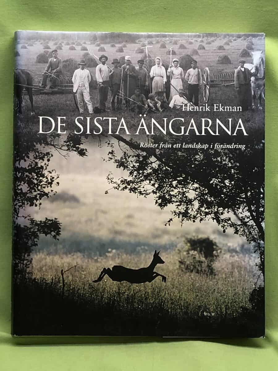 Henrik Ekman : De sista ängarna