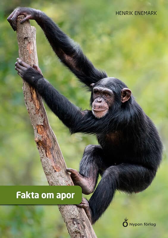 Henrik Enemark : Fakta om apor