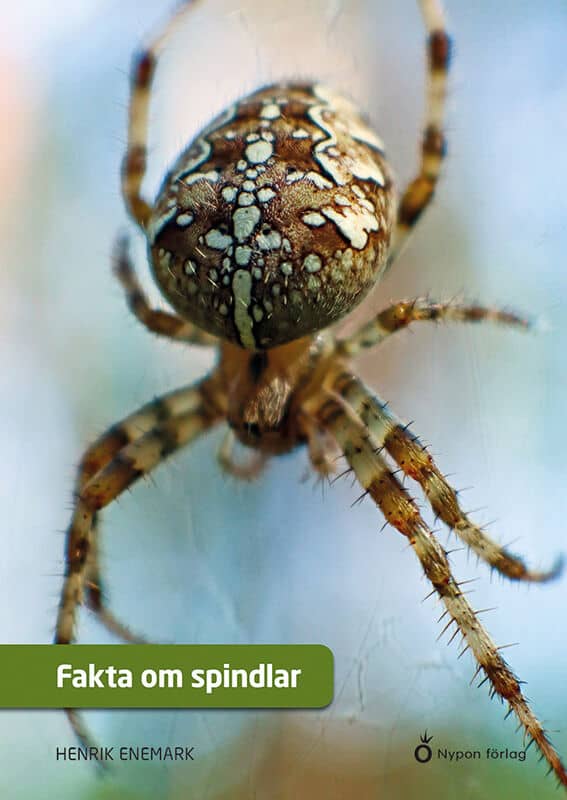 Henrik Enemark : Fakta om spindlar