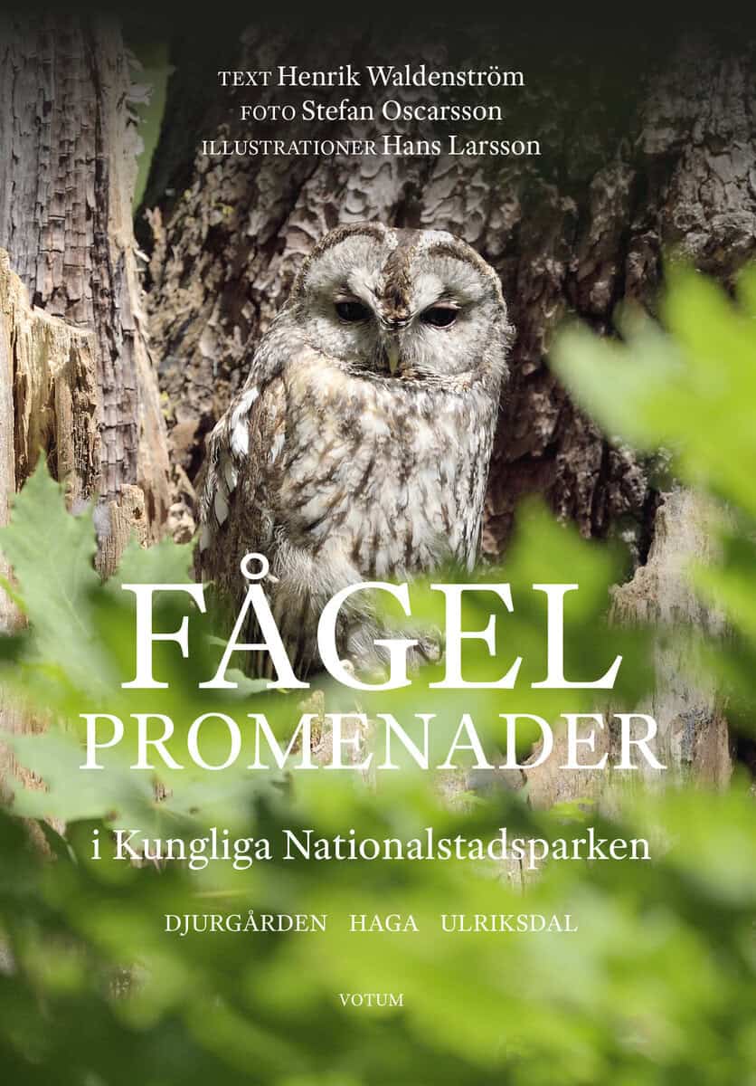 Henrik Waldenström : Fågelpromenader i Kungliga Nationalstadsparken
