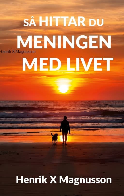 Henrik X Magnusson : Så hittar du meningen med livet : din guide i tillvaron
