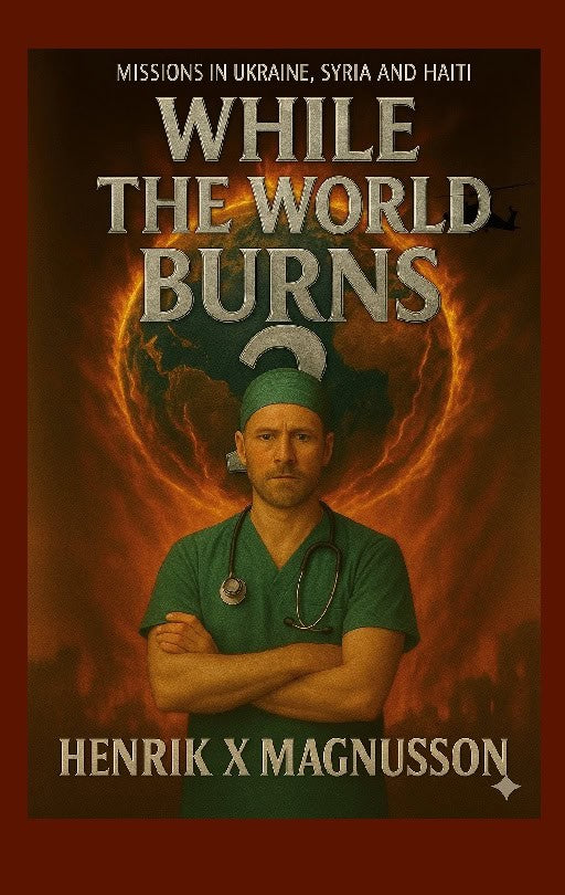 Henrik X Magnusson : While the world burns 2