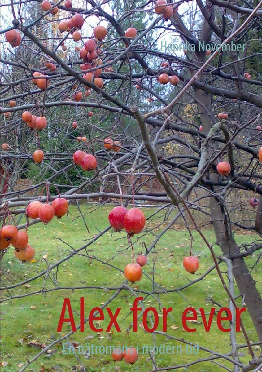 Henrika November : Alex for ever