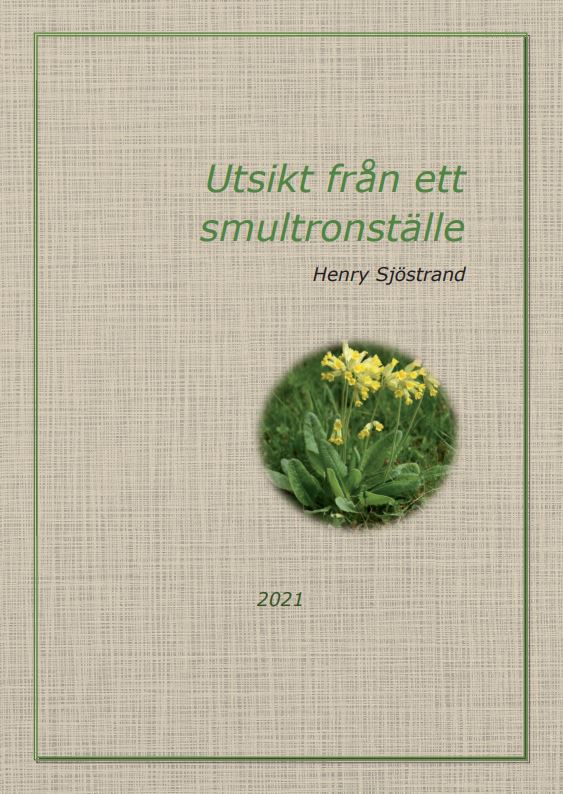 Henry Sjöstrand : Utsikt från ett smultronställe