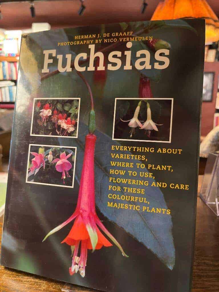 Herman J. de Graaff : Fuchsias