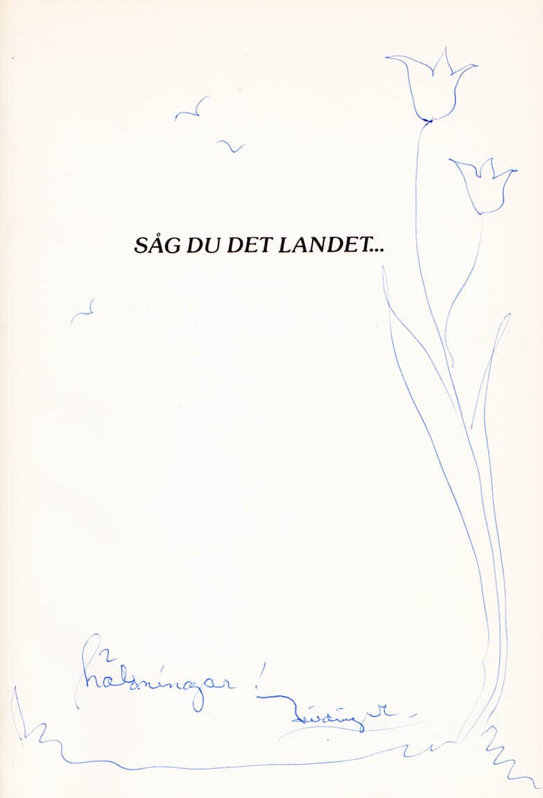 Hilding Mickelsson : Såg du det landet... Hilding Mickelsson ser på Hälsingland