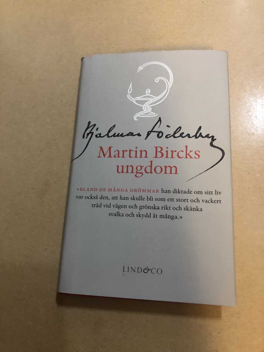 Hjalmar Söderberg : Martin Bircks ungdom