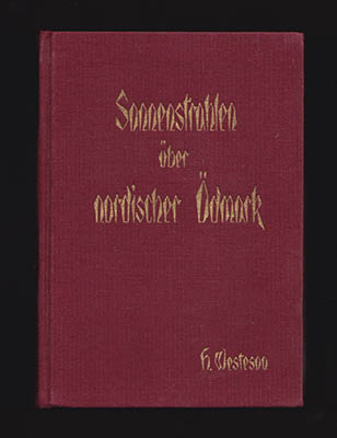 Hjalmar Westeson : Sonnenstrahlen über nordischer Ödmark