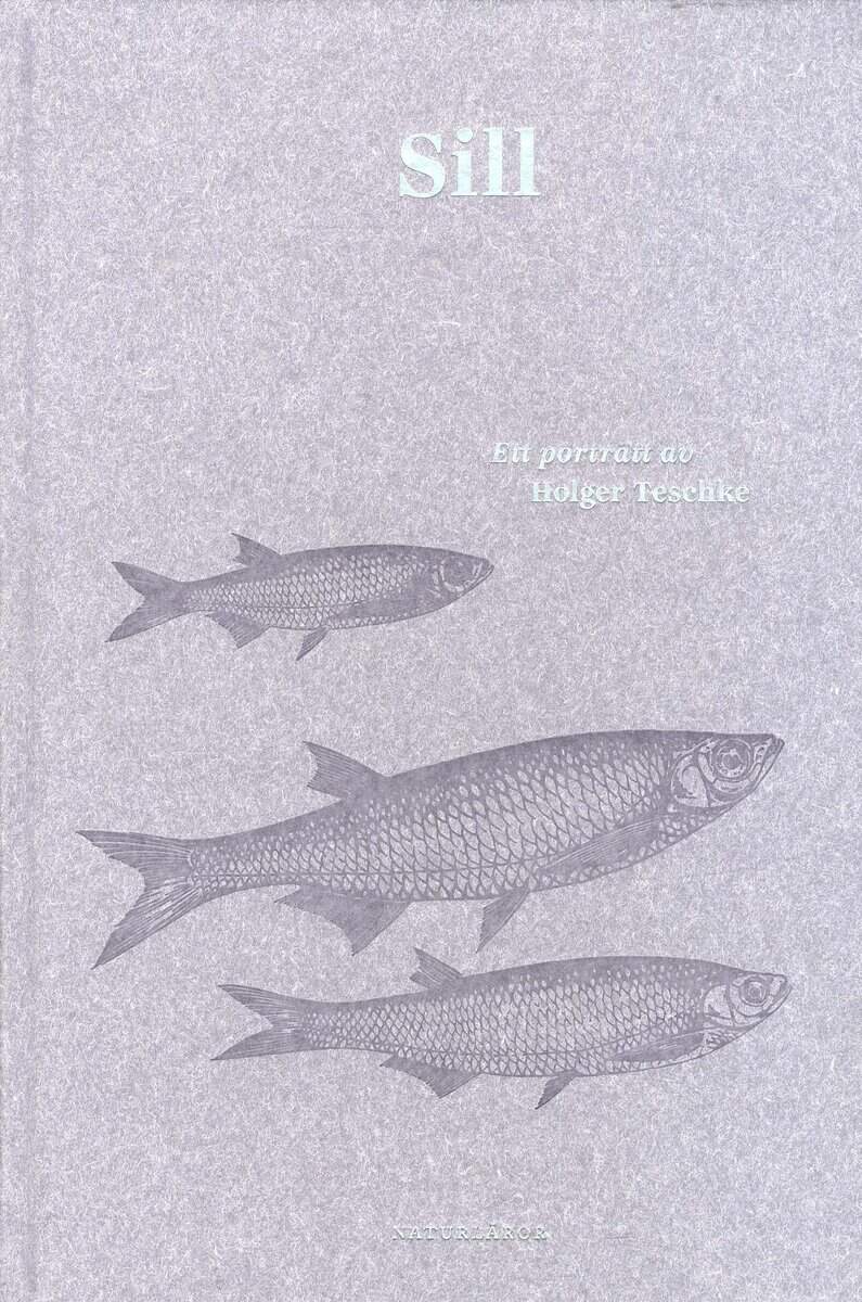 Holger Teschke : Sill